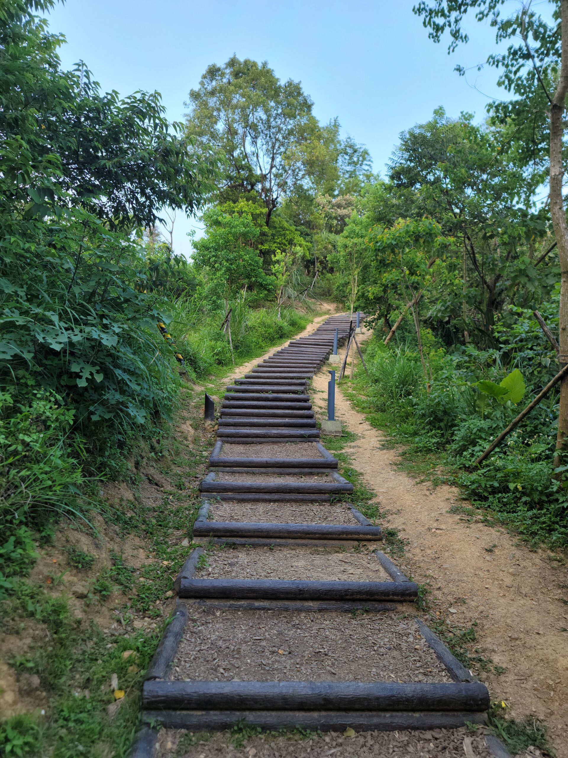 感情沒有對錯 在於情深緣淺