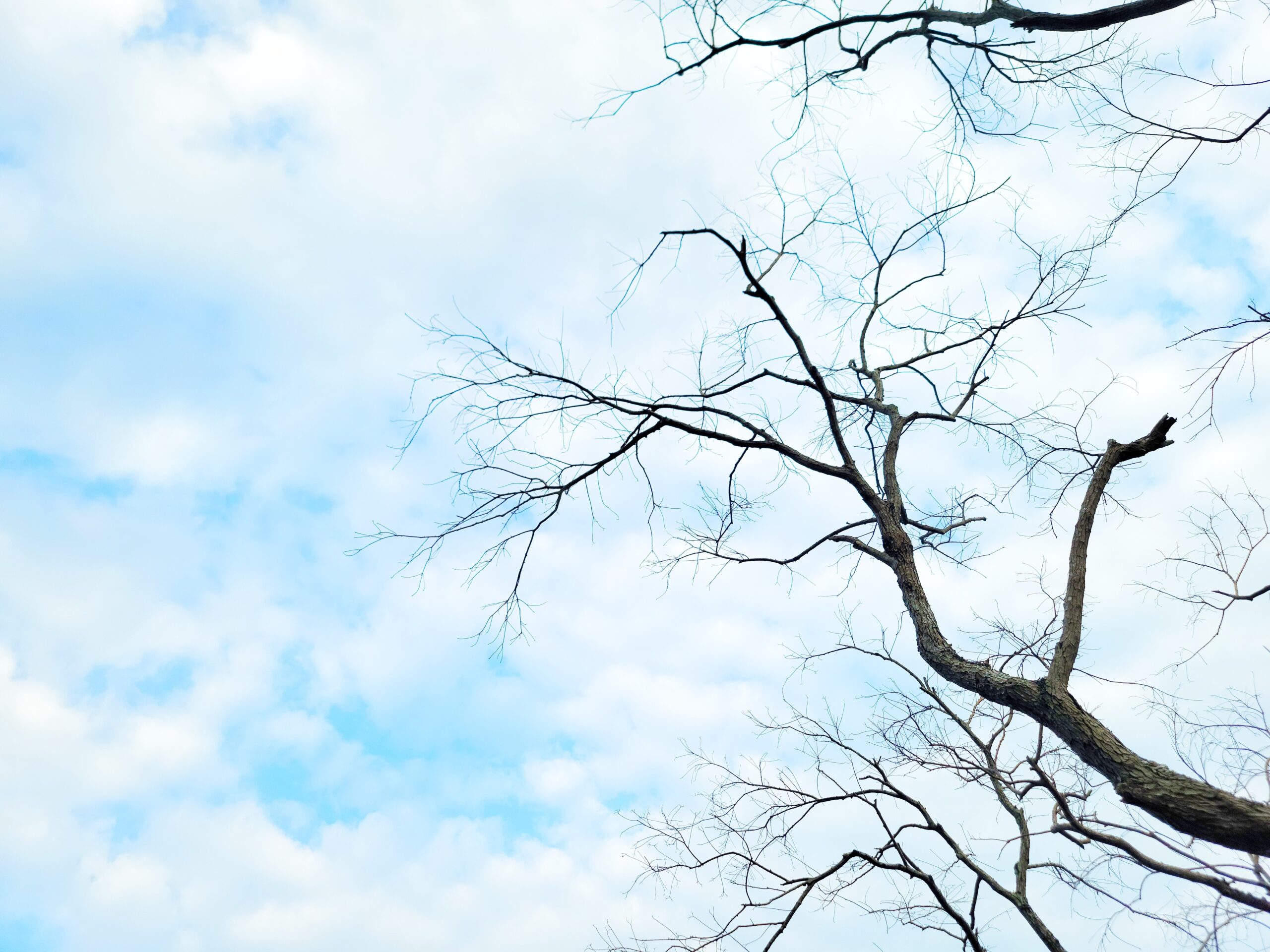 希塔療癒初體驗