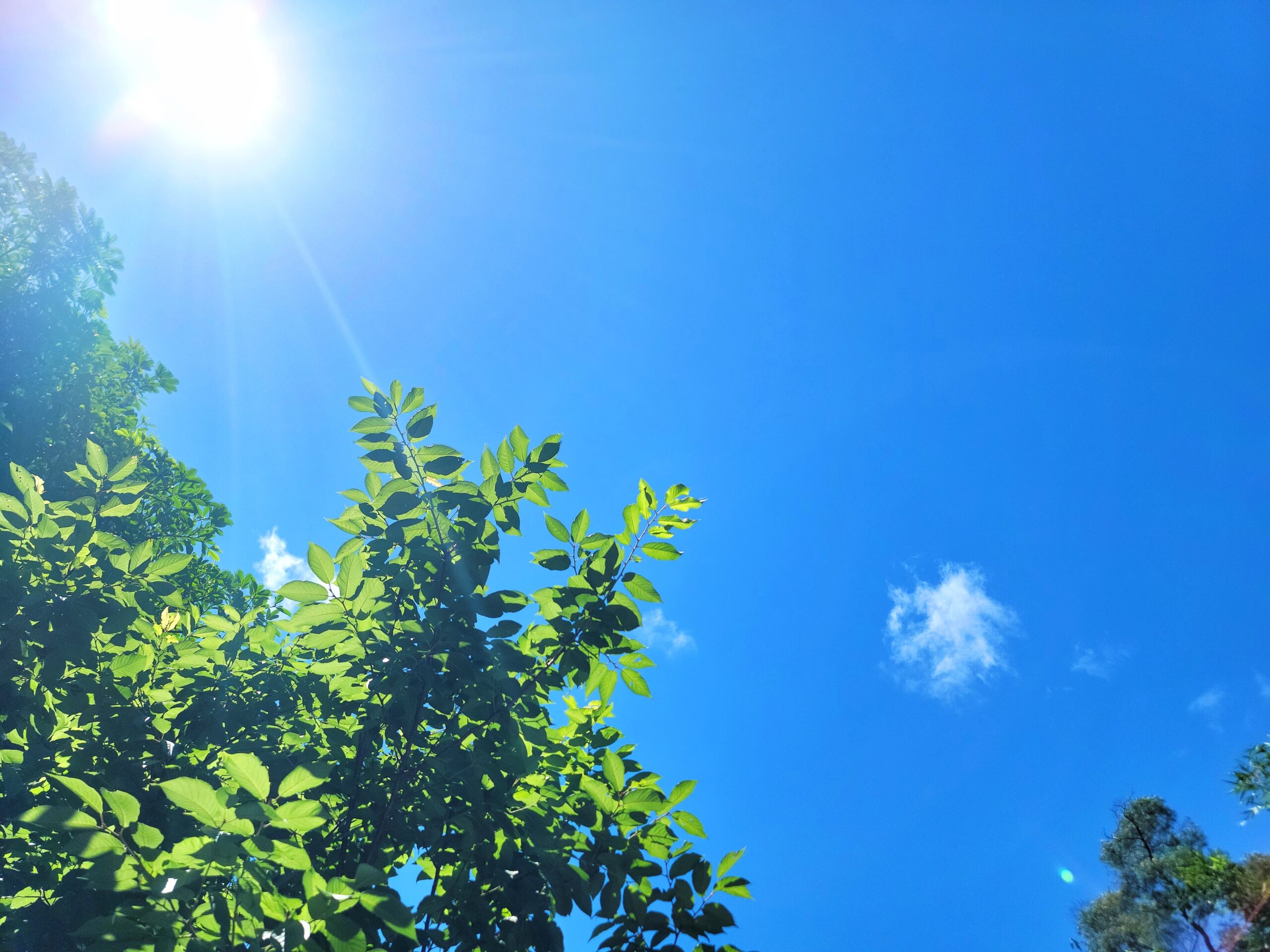 世間的本質-二元性 世間的本質-二元性