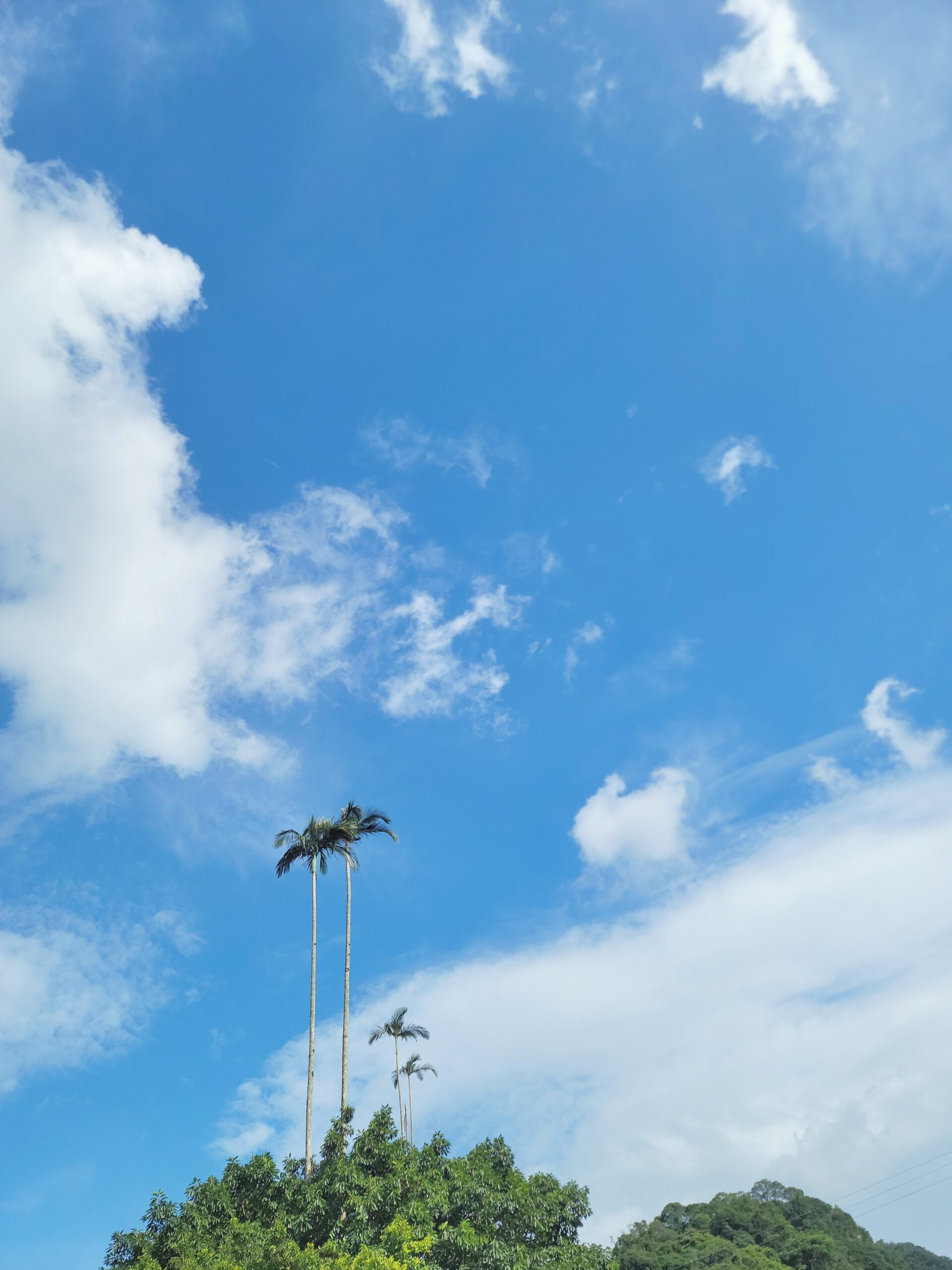 說到「修行」你想到的是什麼畫面? 說到「修行」你想到的是什麼畫面?